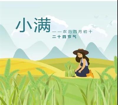 郑矿机器|小满者，物至于此，小得盈满